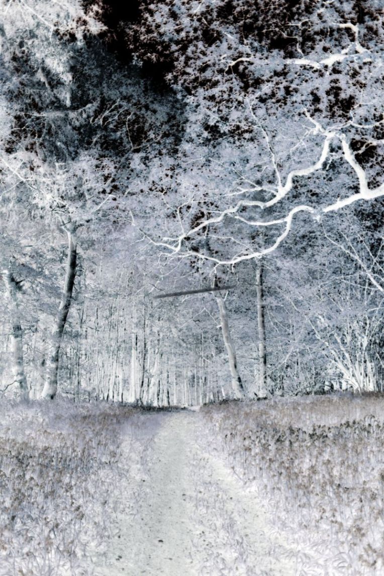 jane's_walk___lintel