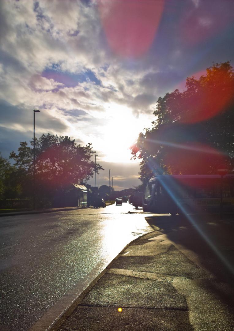 JHudson+-+Lens+Petals