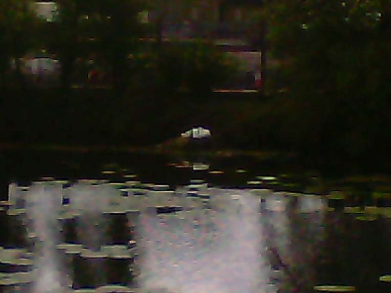 photoerror+8+pixellated