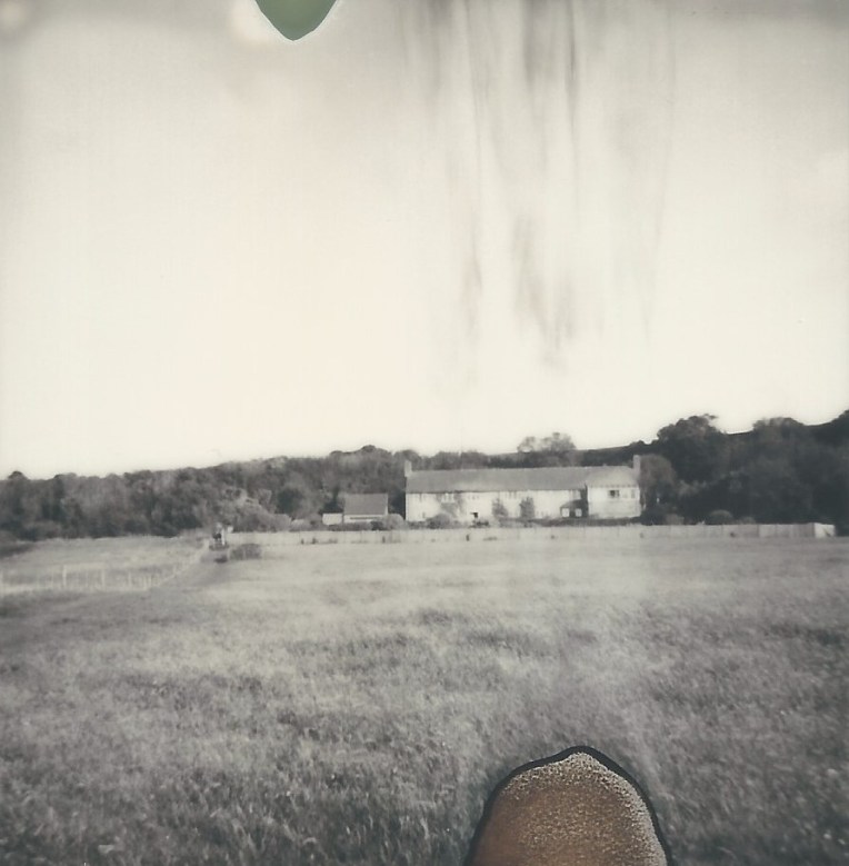 steph+shipley_beyond+nostalgia